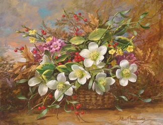 森の日陰で冬の植物